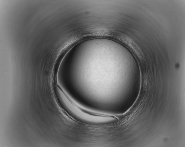 X0000098170677200805011014