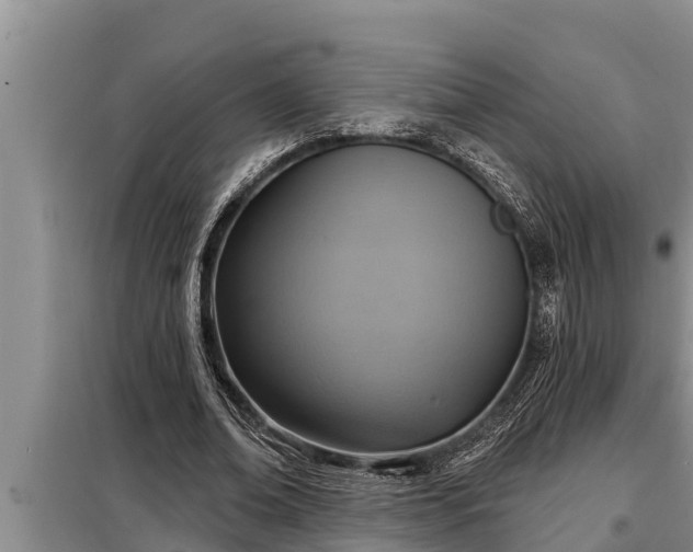 X0000098170678200805011014