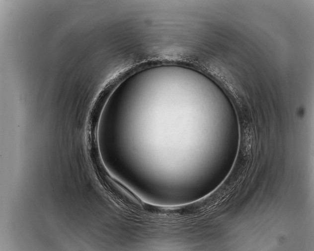 X0000098170680200805011014