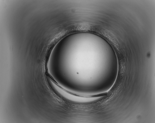 X0000098170681200805011014