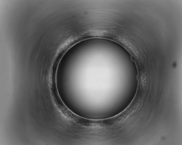 X0000098170682200805011014