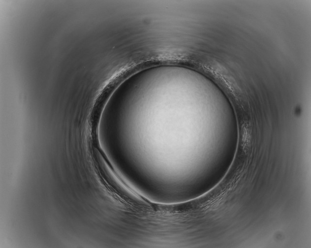 X0000098170684200805011014