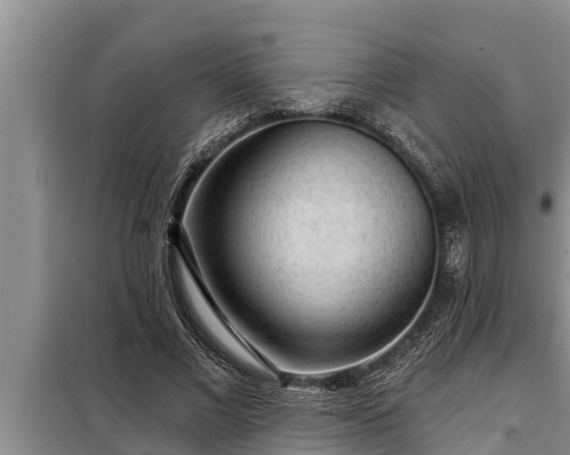 X0000098170685200805011014