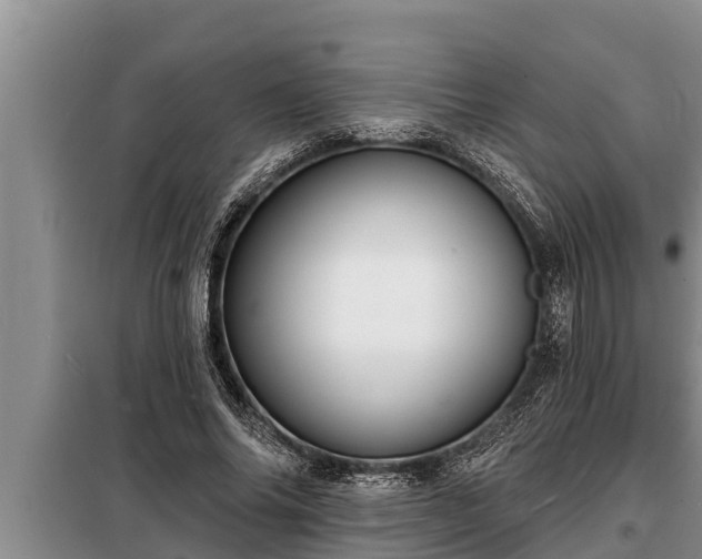 X0000098170686200805011014