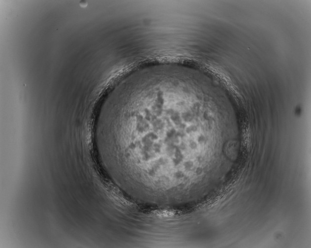 X0000098170687200805011014