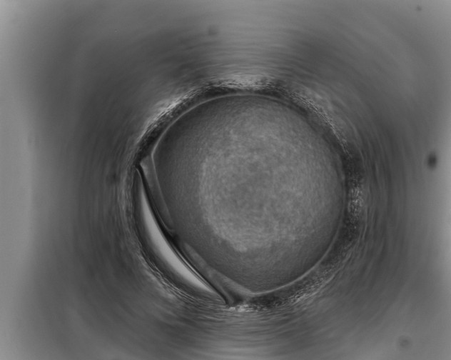 X0000098170688200805011014