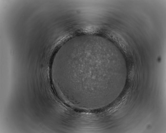 X0000098170689200805011014