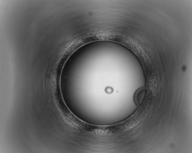 X0000098170690200805011014