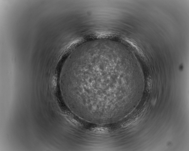 X0000098170691200805011014