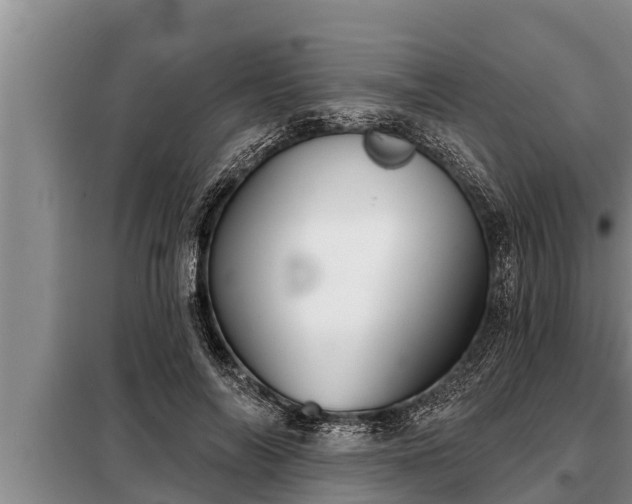 X0000098170694200805011014