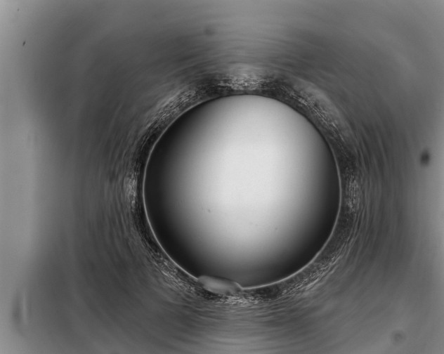 X0000098170697200805011014