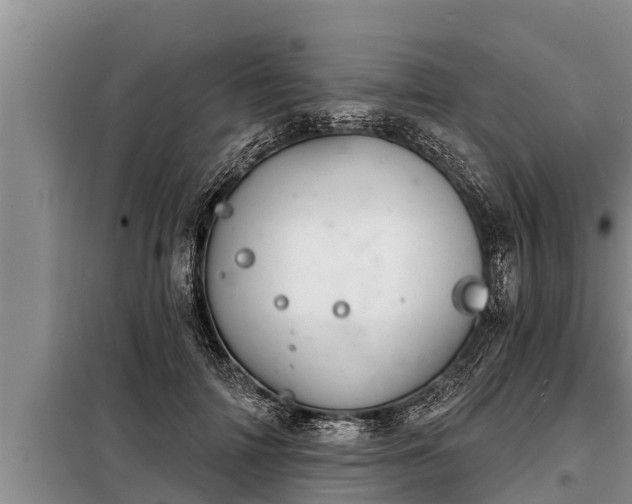 X0000098170698200805011014