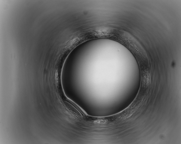 X0000098170700200805011014