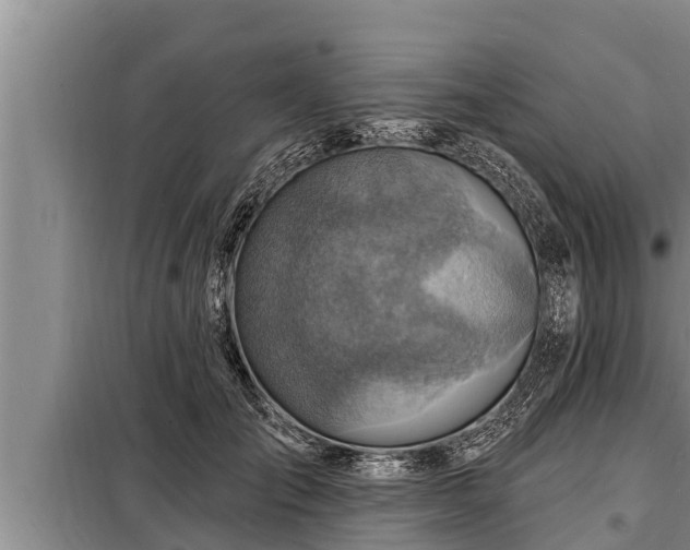 X0000098170701200805011014