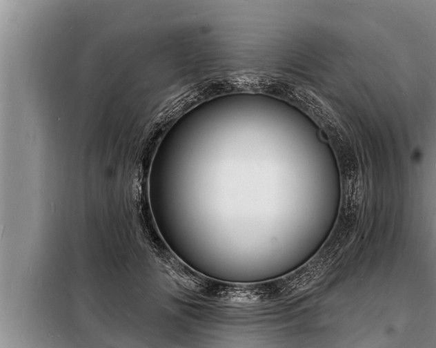 X0000098170702200805011014