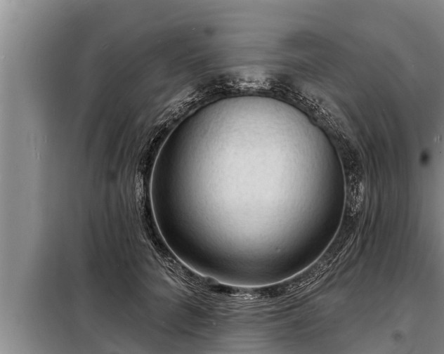 X0000098170704200805011014