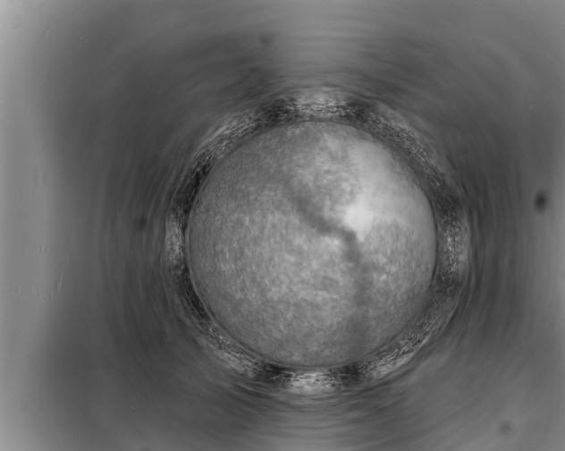 X0000098170705200805011014