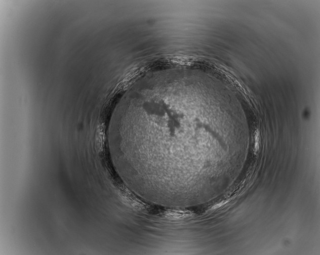 X0000098170707200805011014