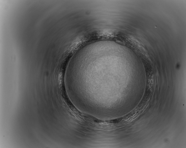 X0000098170708200805011014