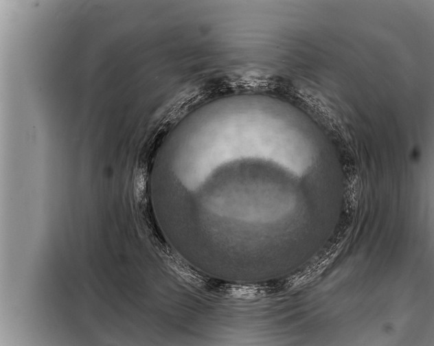 X0000098170709200805011014