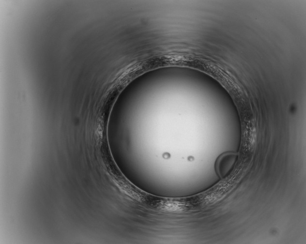 X0000098170710200805011014