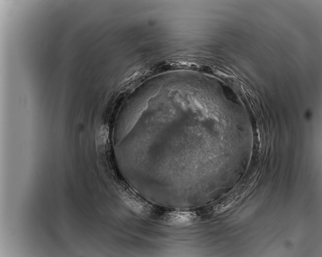 X0000098170711200805011014