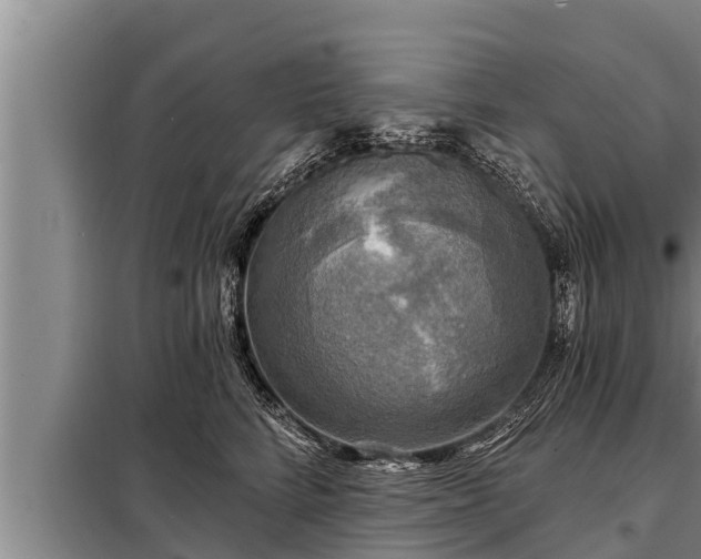 X0000098170712200805011014