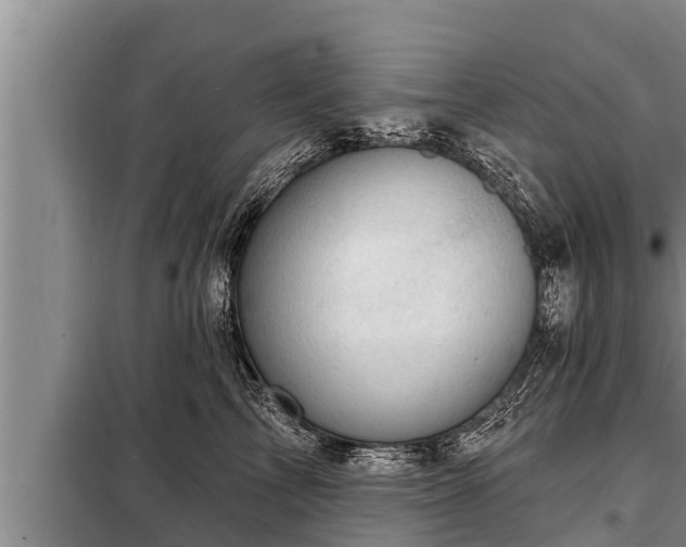 X0000098170713200805011014