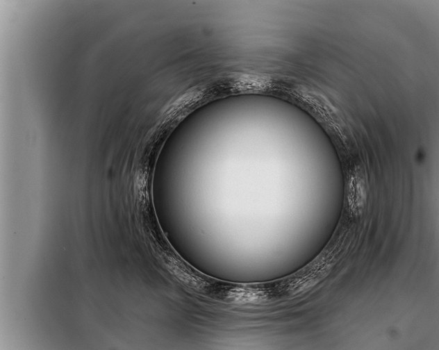 X0000098170714200805011014