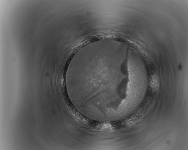 X0000098170715200805011014