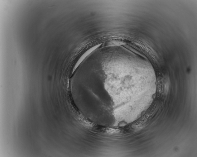 X0000098170718200805011014