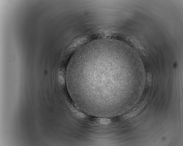 X0000098170719200805011014