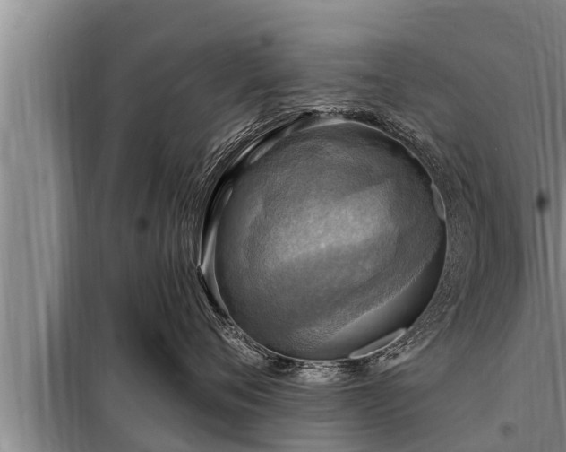 X0000098170720200805011014