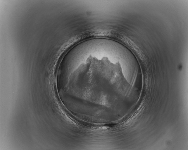 X0000098170721200805011013