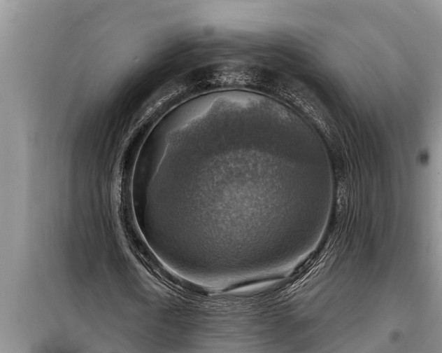 X0000098170722200805011013