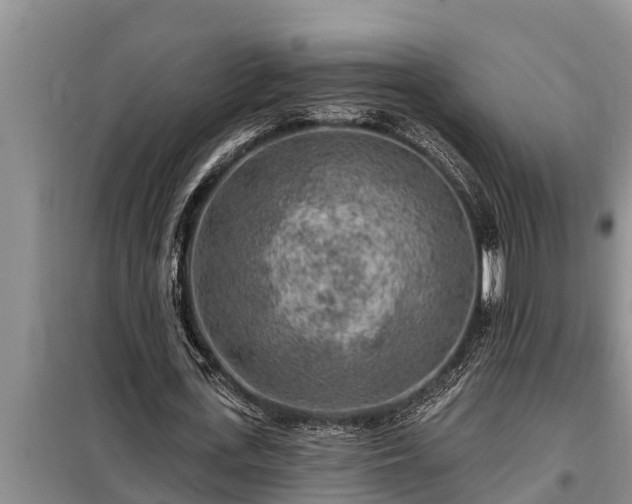 X0000098170723200805011013