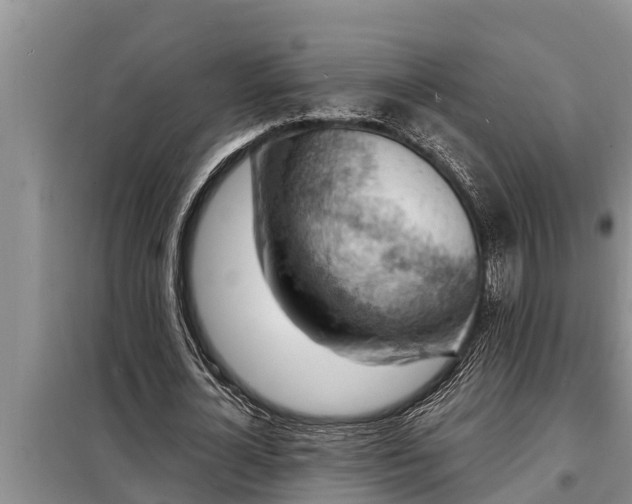 X0000098170724200805011013