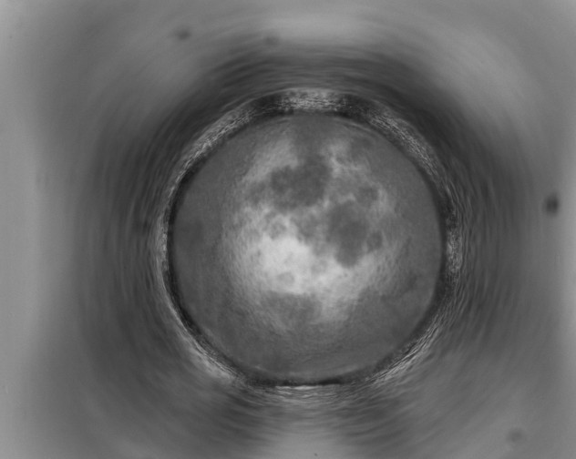 X0000098170725200805011013