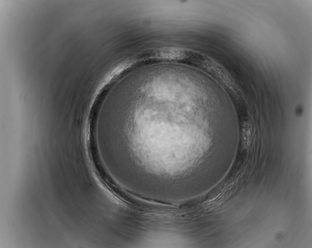 X0000098170726200805011013