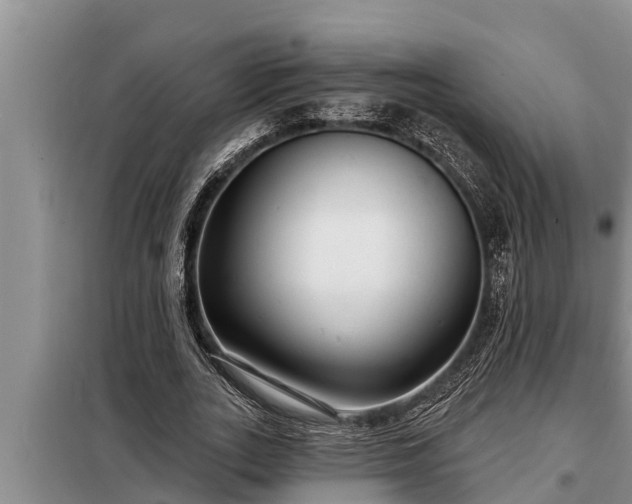 X0000098170727200805011013