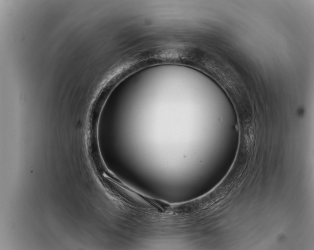 X0000098170728200805011013