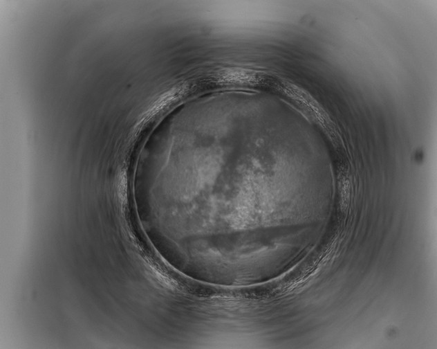 X0000098170729200805011013