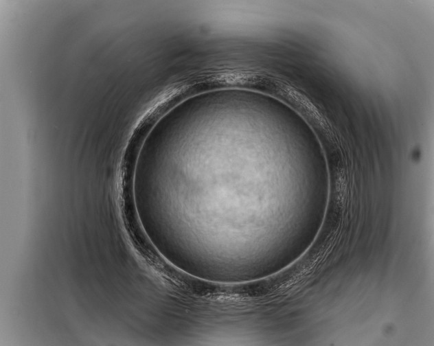 X0000098170730200805011013