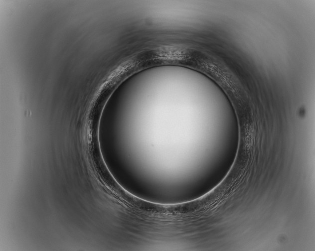 X0000098170731200805011013