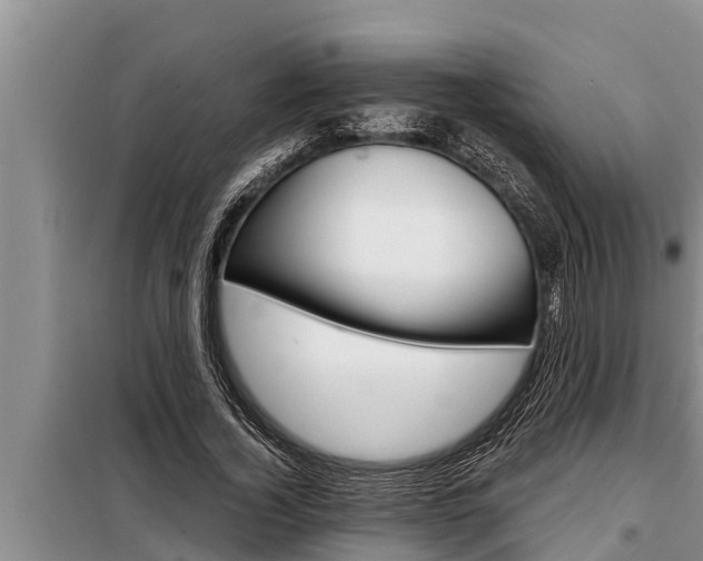 X0000098170732200805011013