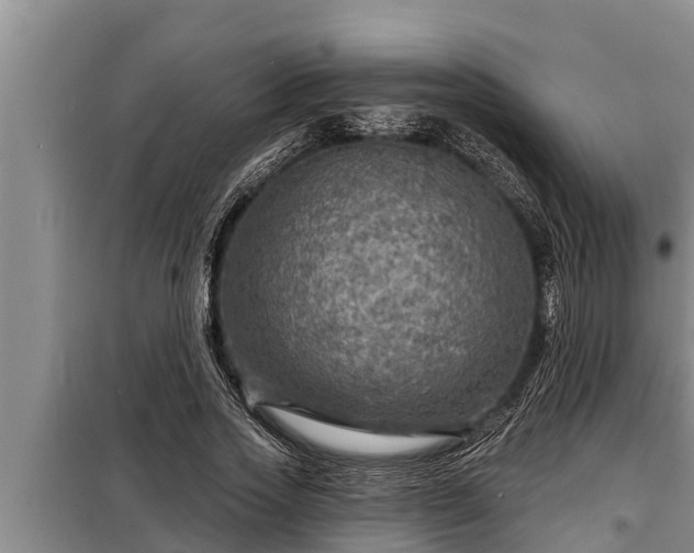 X0000098170733200805011013