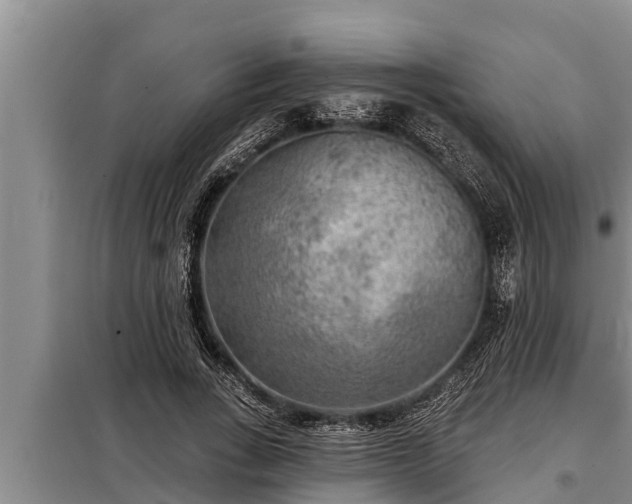 X0000098170735200805011013