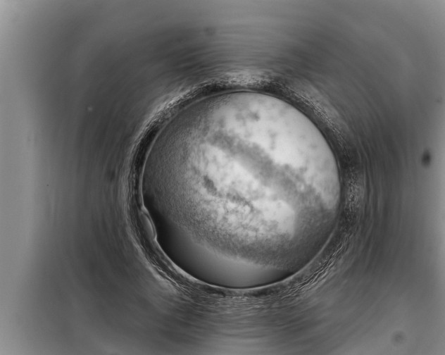 X0000098170736200805011013