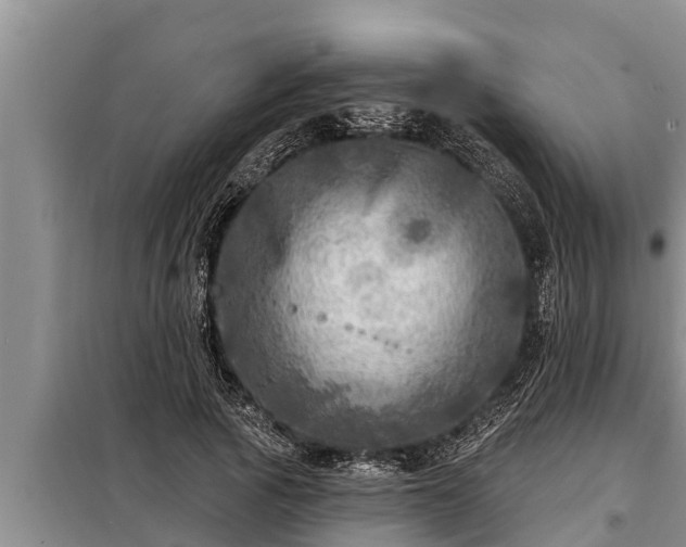 X0000098170737200805011013