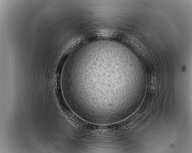 X0000098170738200805011013